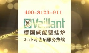 威能壁挂炉售后服务电话(vitopend100壁挂炉售后电话)